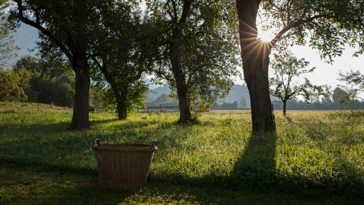 Bed and Breakfast Bauernhof Lindenhof Шеффау-ам-Вільден-Кайзер Екстер'єр фото